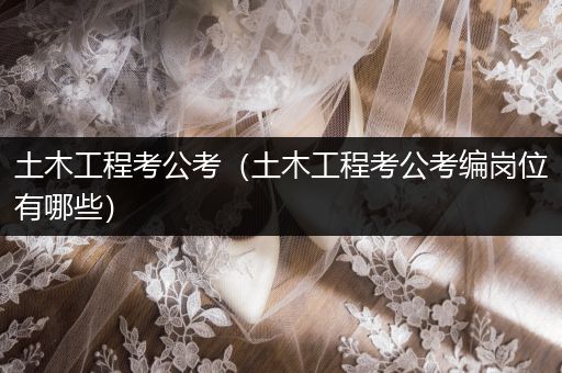土木工程考公考（土木工程考公考编岗位有哪些）
