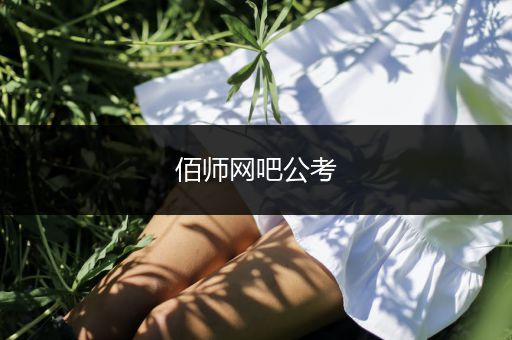 佰师网吧公考