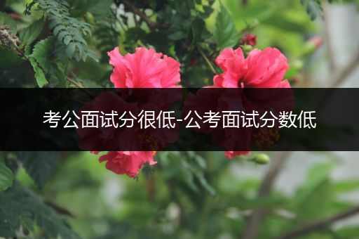 考公面试分很低-公考面试分数低