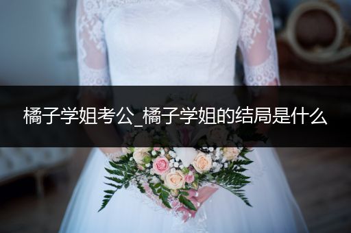 橘子学姐考公_橘子学姐的结局是什么