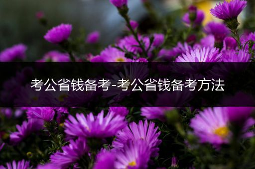 考公省钱备考-考公省钱备考方法