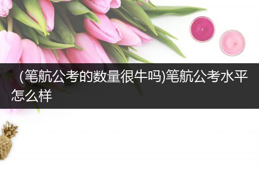 （笔航公考的数量很牛吗)笔航公考水平怎么样