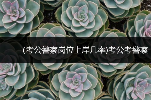 （考公警察岗位上岸几率)考公考警察