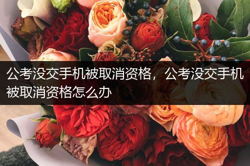 公考没交手机被取消资格，公考没交手机被取消资格怎么办