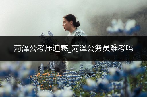 菏泽公考压迫感_菏泽公务员难考吗