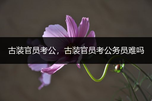 古装官员考公，古装官员考公务员难吗