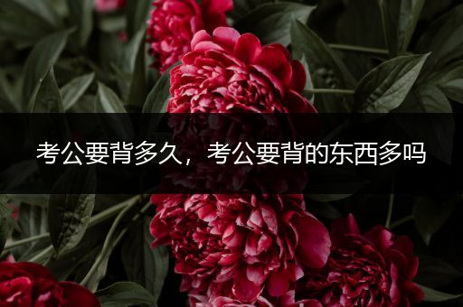 考公要背多久，考公要背的东西多吗
