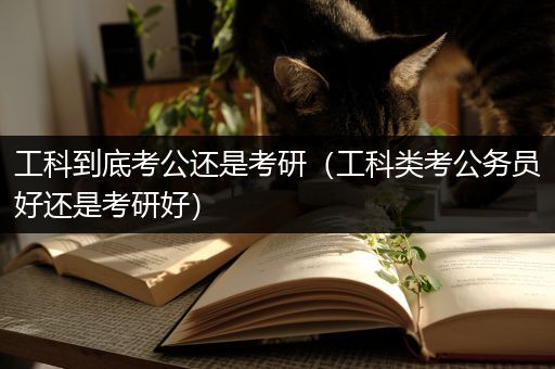 工科到底考公还是考研（工科类考公务员好还是考研好）