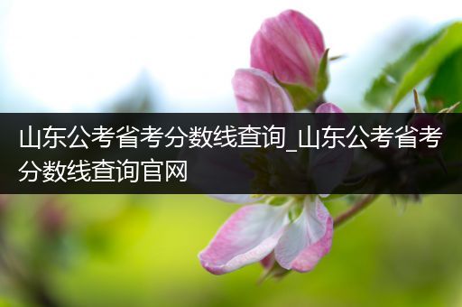 山东公考省考分数线查询_山东公考省考分数线查询官网