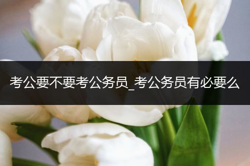 考公要不要考公务员_考公务员有必要么