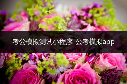 考公模拟测试小程序-公考模拟app
