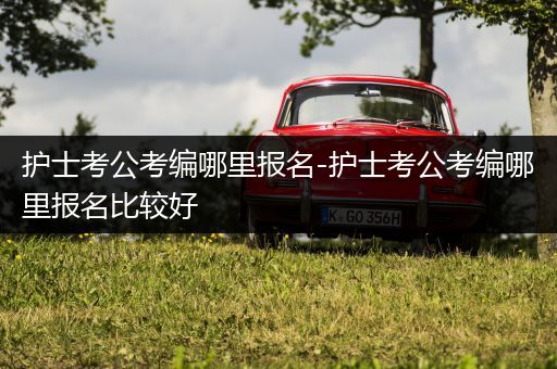 护士考公考编哪里报名-护士考公考编哪里报名比较好