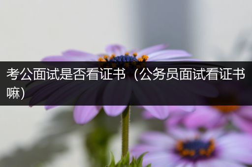 考公面试是否看证书（公务员面试看证书嘛）