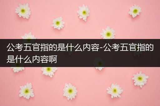 公考五官指的是什么内容-公考五官指的是什么内容啊