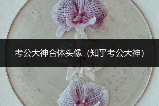 考公大神合体头像（知乎考公大神）