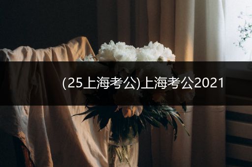 （25上海考公)上海考公2021