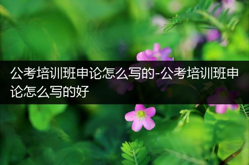 公考培训班申论怎么写的-公考培训班申论怎么写的好