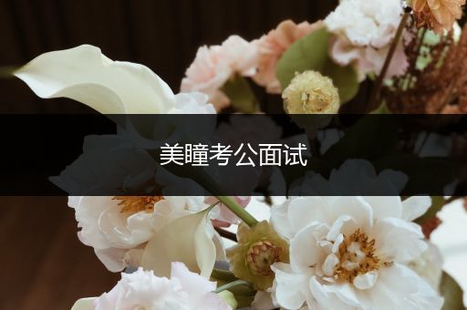 美瞳考公面试