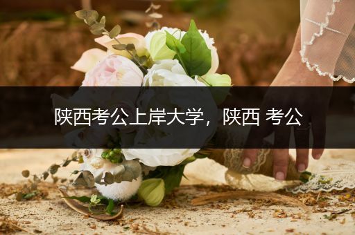 陕西考公上岸大学，陕西 考公
