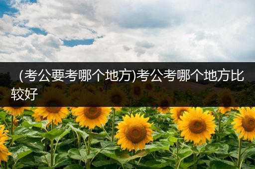 （考公要考哪个地方)考公考哪个地方比较好
