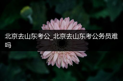 北京去山东考公_北京去山东考公务员难吗