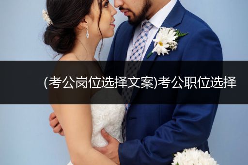 （考公岗位选择文案)考公职位选择
