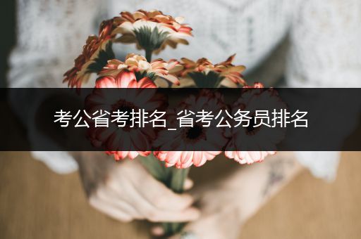 考公省考排名_省考公务员排名