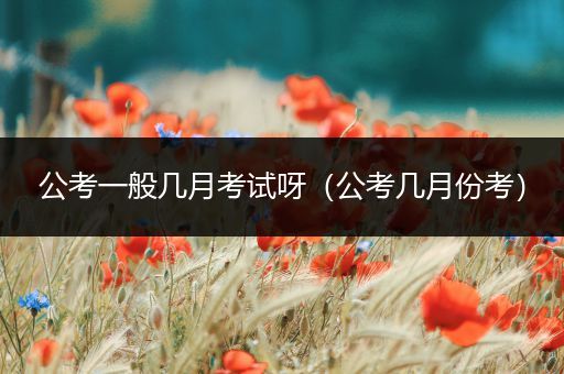 公考一般几月考试呀（公考几月份考）