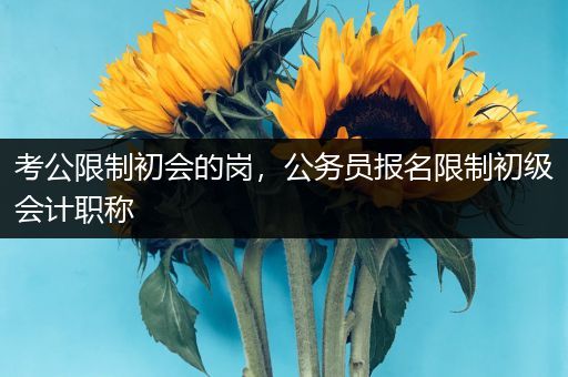 考公限制初会的岗，公务员报名限制初级会计职称