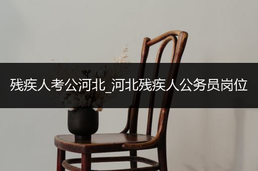 残疾人考公河北_河北残疾人公务员岗位