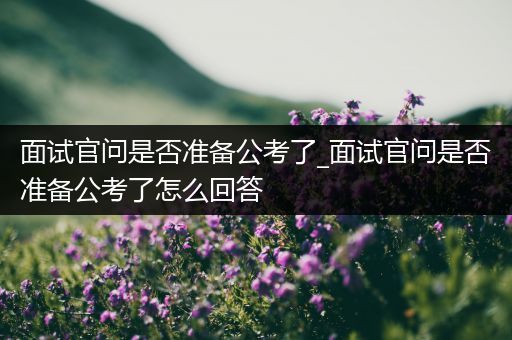 面试官问是否准备公考了_面试官问是否准备公考了怎么回答