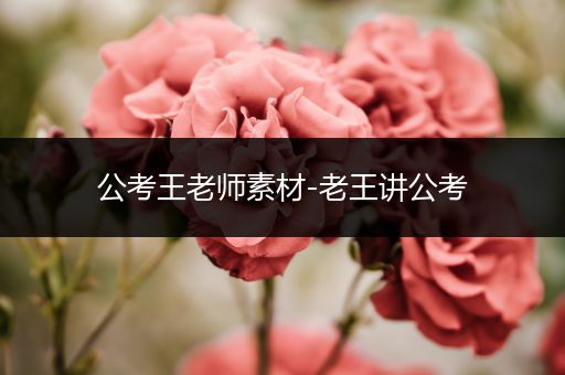 公考王老师素材-老王讲公考