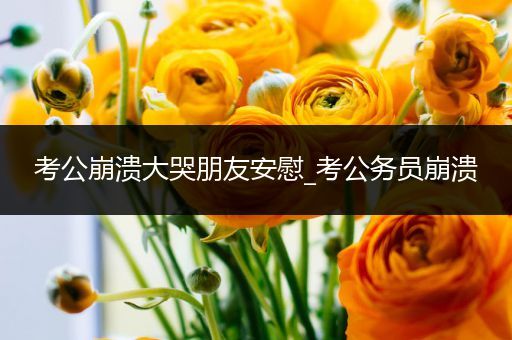 考公崩溃大哭朋友安慰_考公务员崩溃
