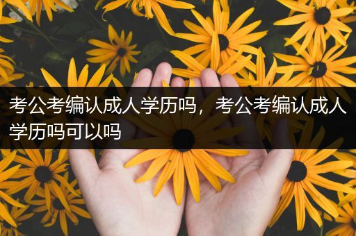 考公考编认成人学历吗，考公考编认成人学历吗可以吗