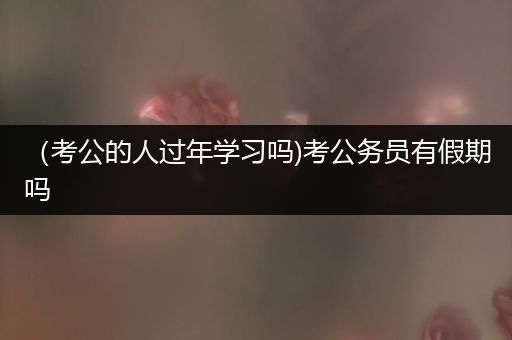 （考公的人过年学习吗)考公务员有假期吗