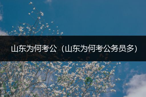 山东为何考公（山东为何考公务员多）