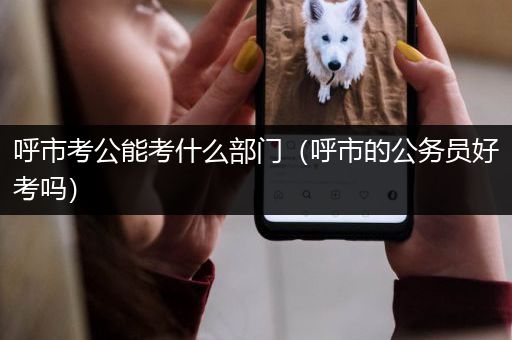 呼市考公能考什么部门（呼市的公务员好考吗）