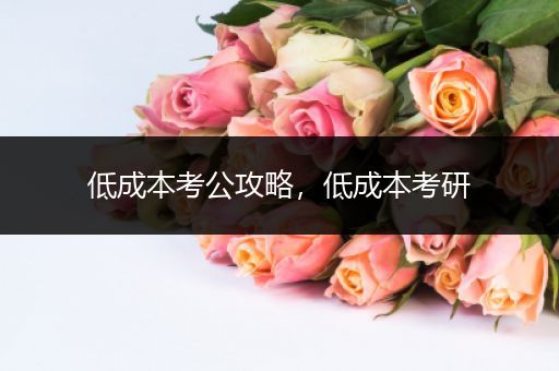 低成本考公攻略，低成本考研
