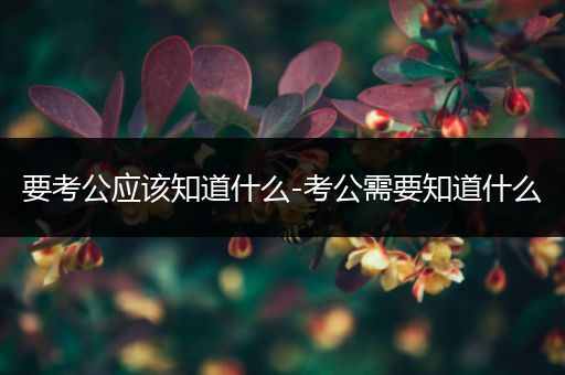要考公应该知道什么-考公需要知道什么