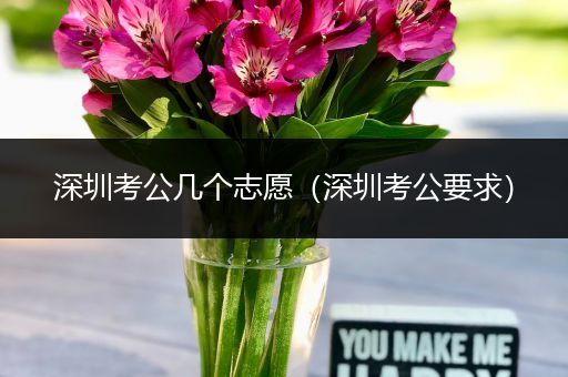 深圳考公几个志愿（深圳考公要求）