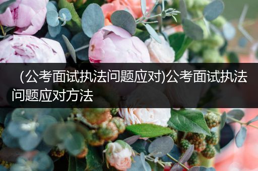 （公考面试执法问题应对)公考面试执法问题应对方法