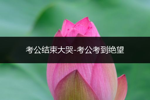 考公结束大哭-考公考到绝望