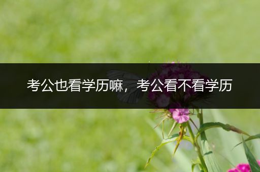 考公也看学历嘛，考公看不看学历