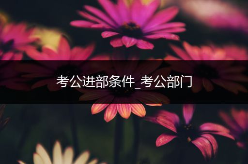 考公进部条件_考公部门