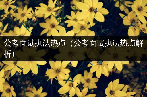 公考面试执法热点（公考面试执法热点解析）