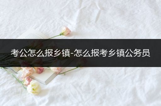 考公怎么报乡镇-怎么报考乡镇公务员