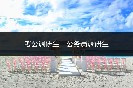 考公调研生，公务员调研生