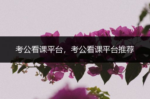 考公看课平台，考公看课平台推荐