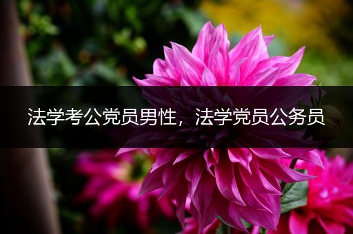 法学考公党员男性，法学党员公务员