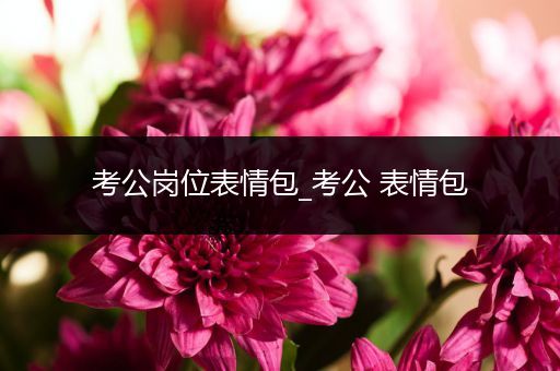 考公岗位表情包_考公 表情包